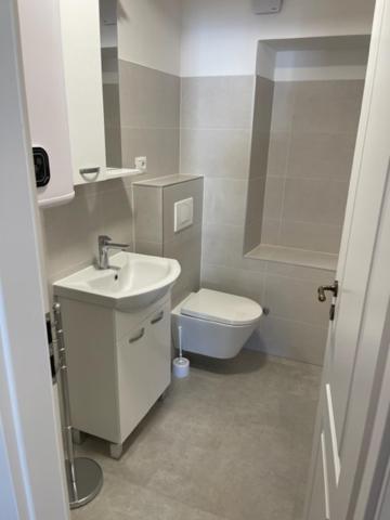 Apartment Concetta